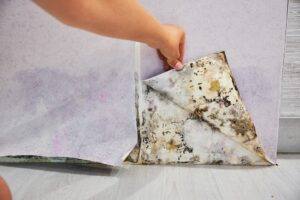 black-mold-buildup