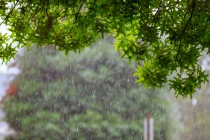 rain