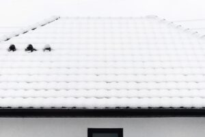 Roof Leaks