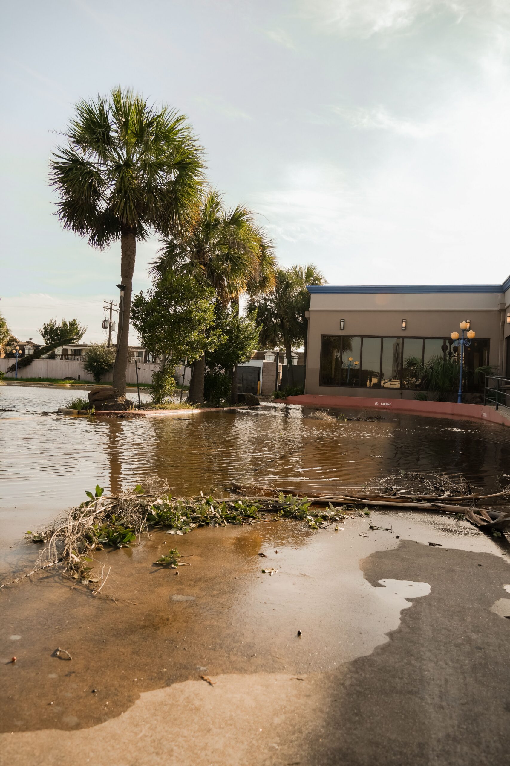 What’s Included in Our Flood Cleanup Services?