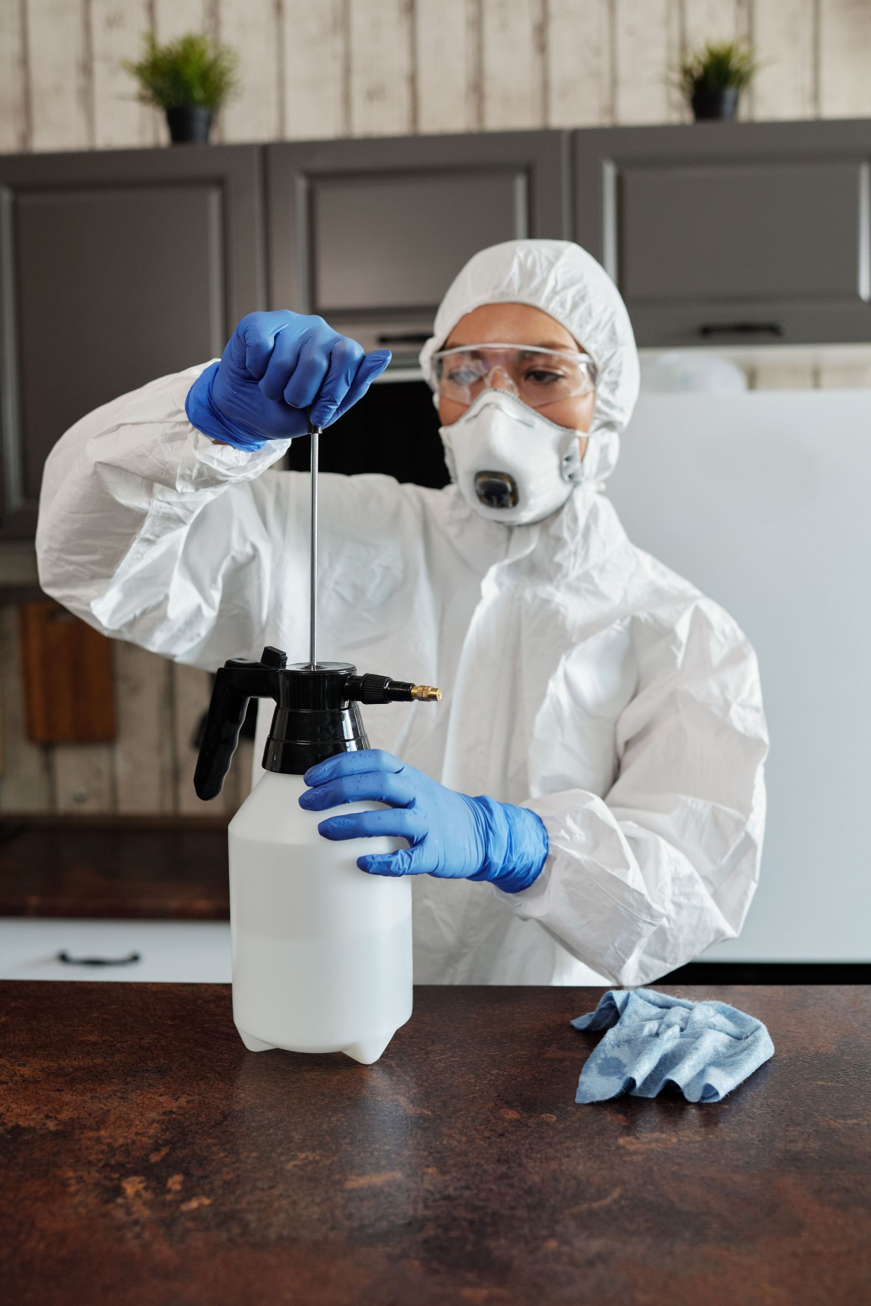 Homeowners Choose UDK for Mold Remediation