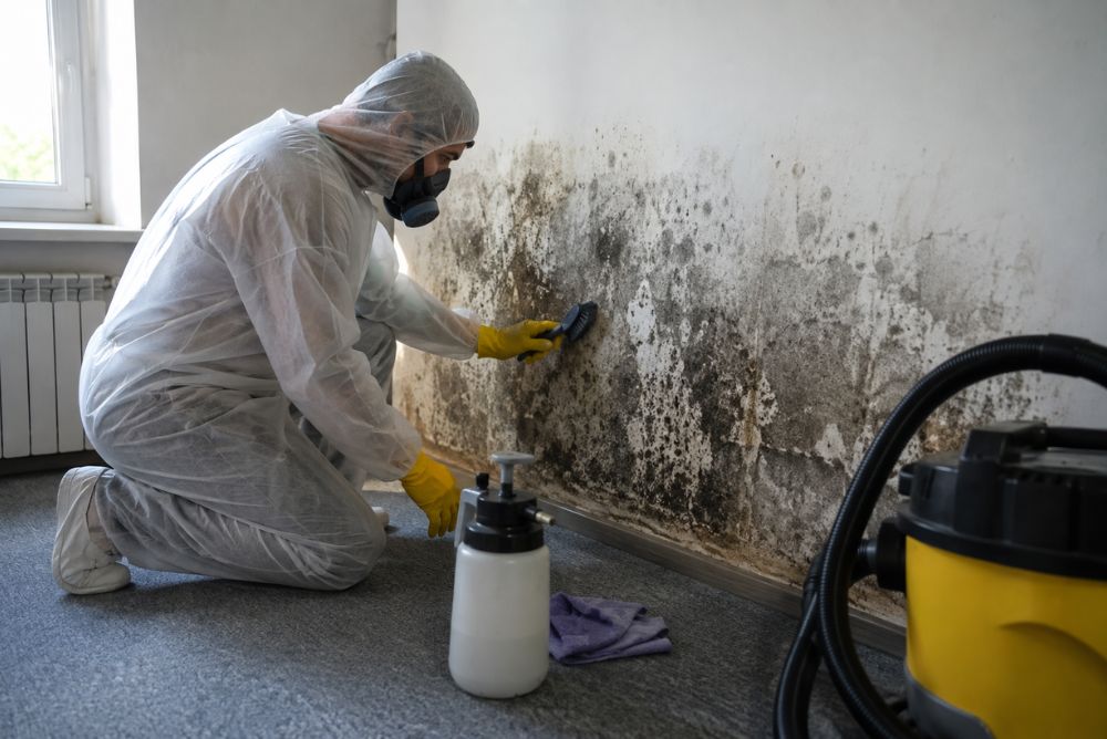 how much does mold remediation cost