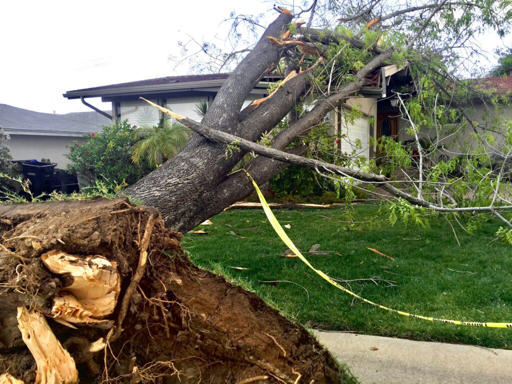 Disaster Cleanup Companies