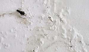 Signs of Water Damage in Your Home: 10 Warnings You Shouldn’t Ignore